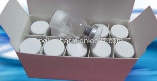 HGH White Tops OEM Wholesale,Human Growth Hormones