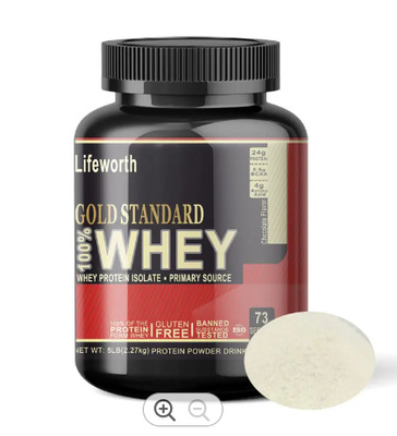 Apollo chocolate protein powder gold standard whey protein isolate with good quality and best price