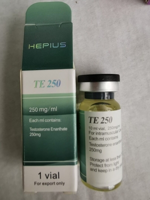 Wholesale Bodybuilding Finished Oil  enanthate 250mg 10ml/vial Fresh AAS Oil for Fitness User Hormone