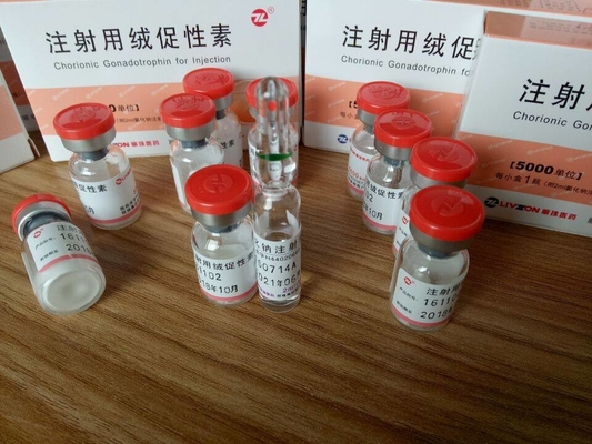 China Original Livzon brand HCG 5000iu with Bac Water for weigh loss Ready Injectable